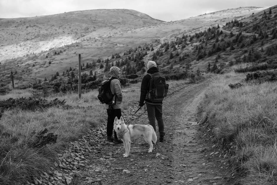 Best Balm for Dog Paws: Top Picks Reviewed for Working Dogs